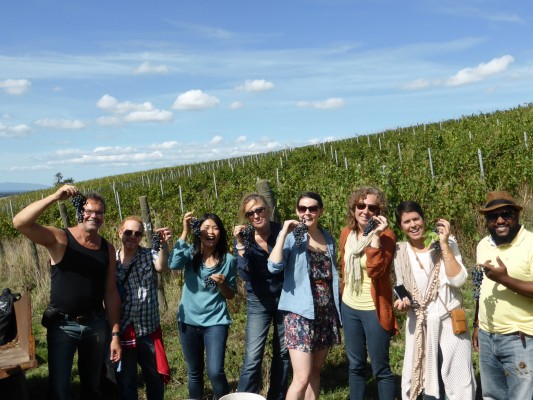 The Farm Experience in the heart of Tuscia, between Rome and Toscana