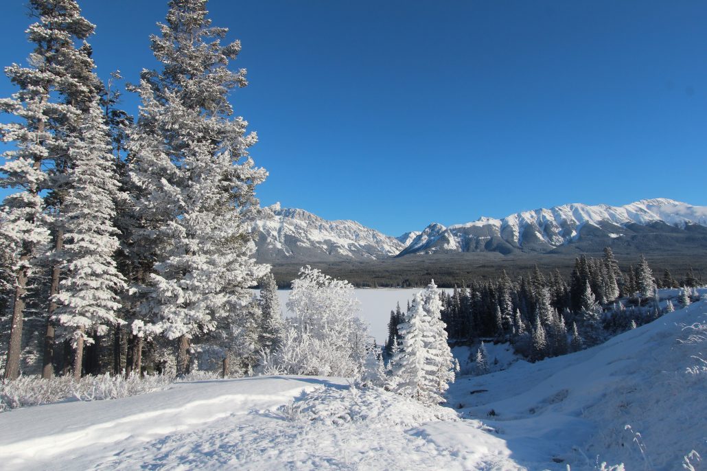 How You Can Enjoy Winter In Canada BonAppetour